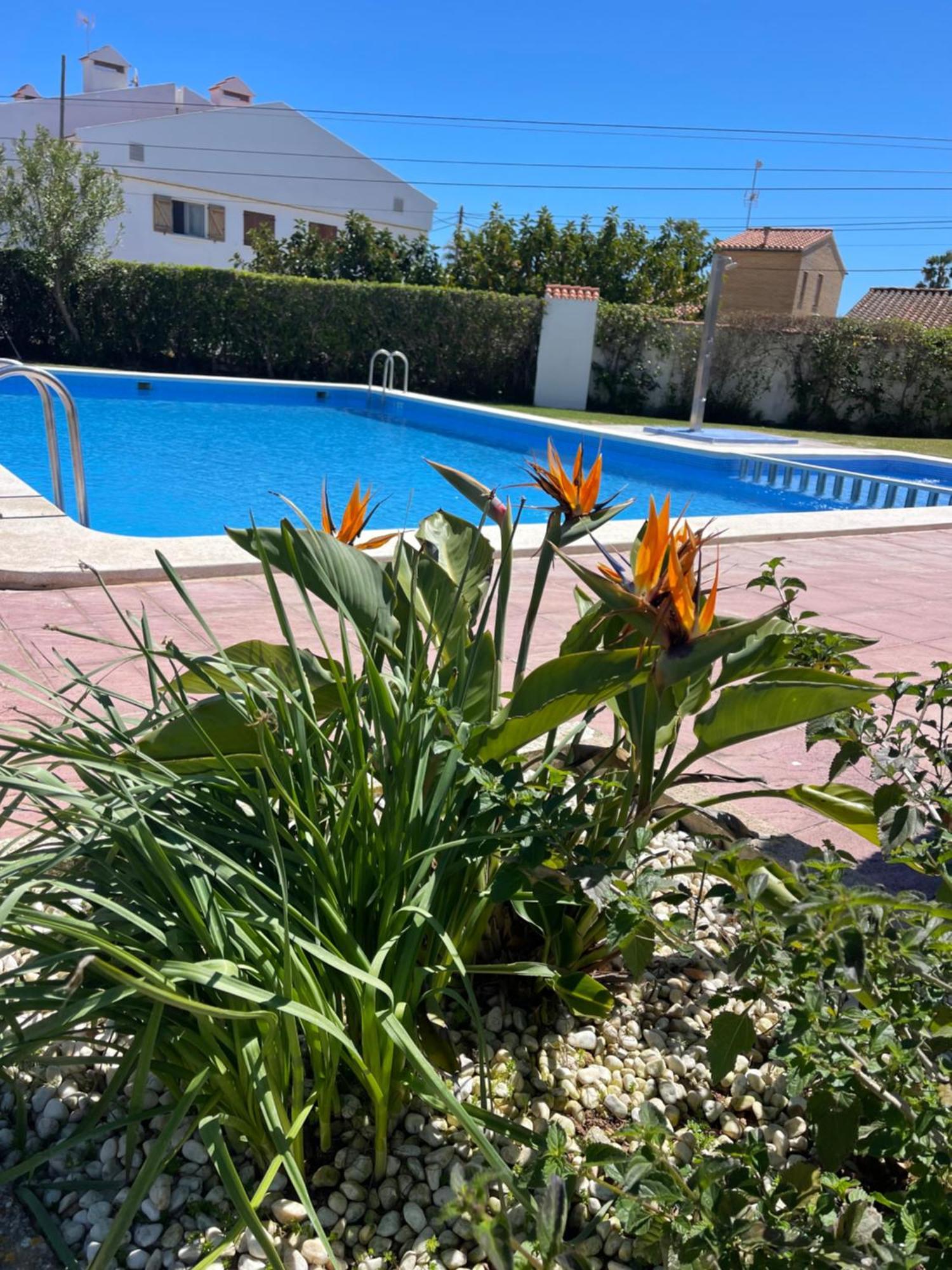Cala Puntal Lägenhet Vinarós Exteriör bild