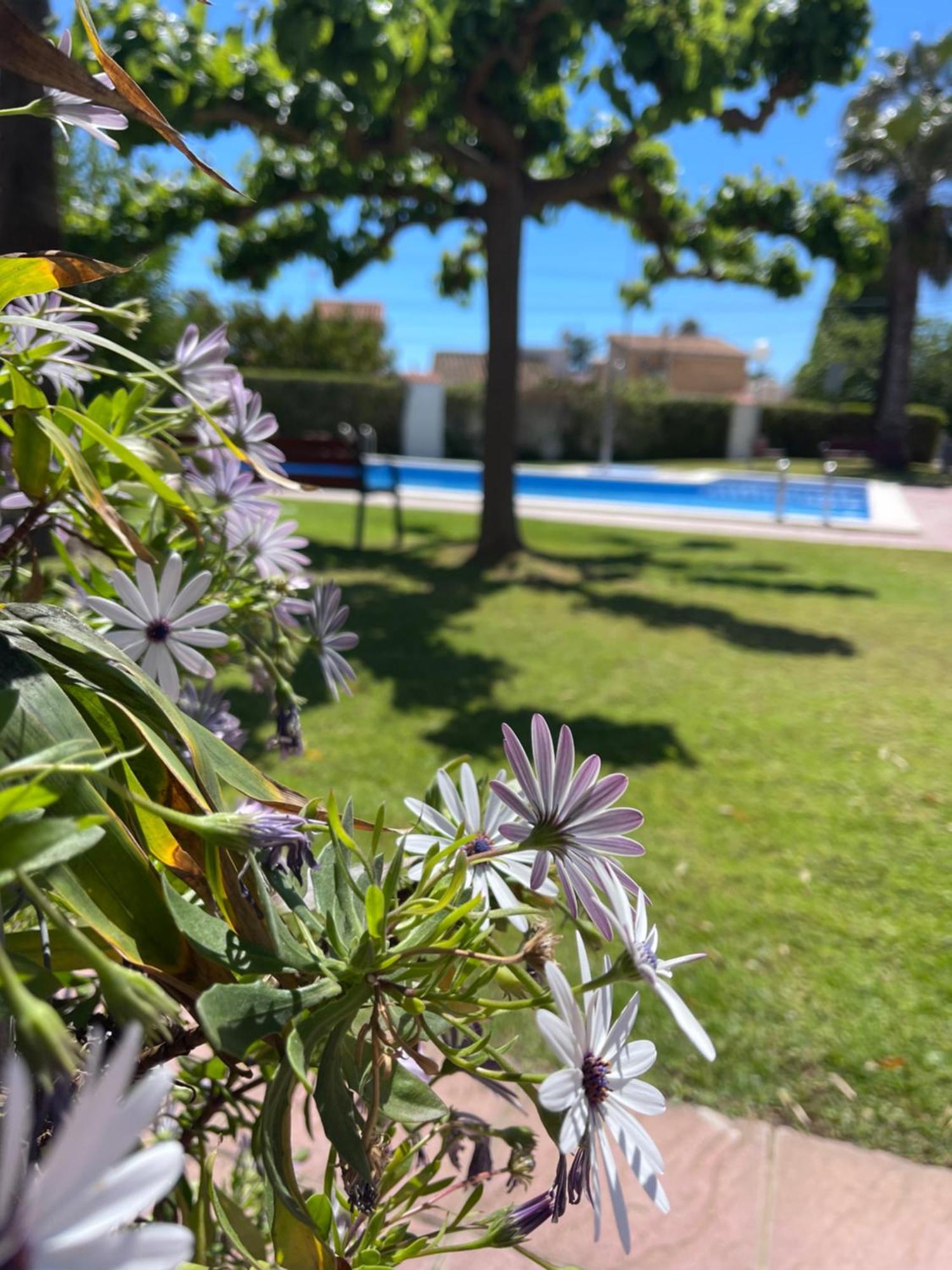 Cala Puntal Lägenhet Vinarós Exteriör bild